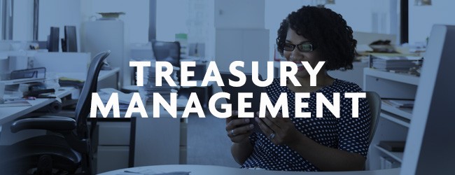 Treasury Management