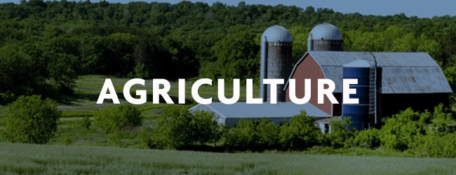 Agriculture