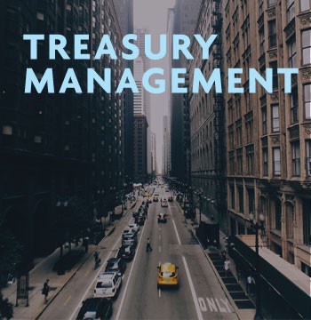 Treasury Management