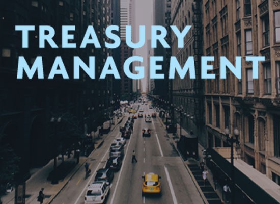 Treasury Management