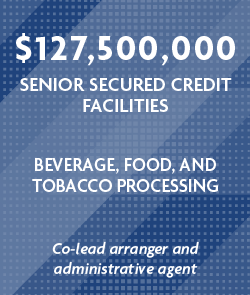 $127,500,000 Senior Secured Credit Facilities - Financial Services