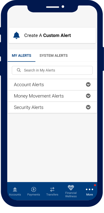 Custom Alert